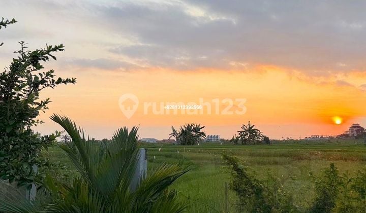 Sunset 2 Bedrooms Villa Seseh Paddies View