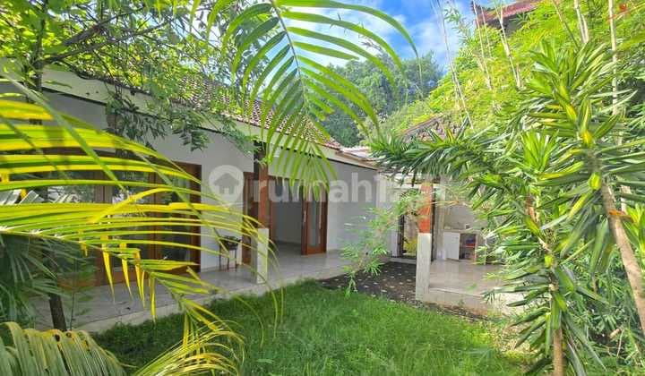 Cheap Big Garden 2 Bedrooms Villa Canggu Central Kayu Tulang