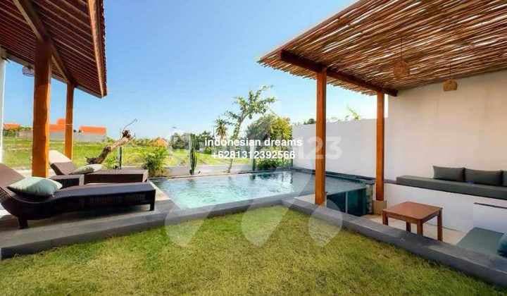 SUNSET AND PADDIES VIEW 3 Bedroom VILLA IN SESEH