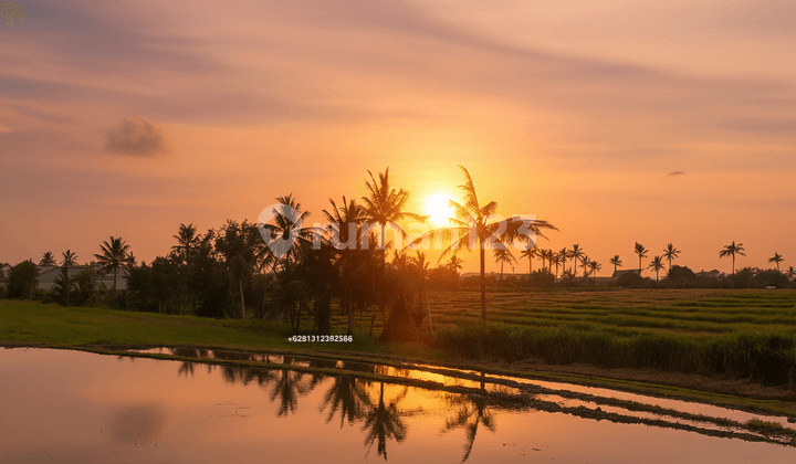 CHEAP AMAZING SUNSET N PADDIES 900 sqm LAND BEACHSIDE PERERENAN