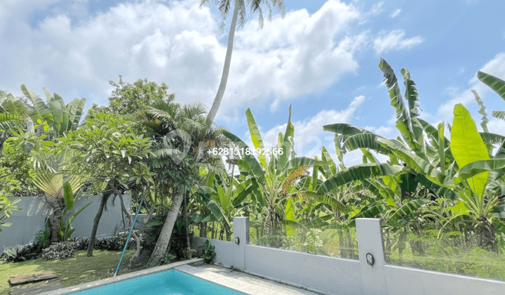 Cheap Big Garden Villa 2 Bedrooms Pererenan Beachside