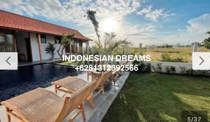 VILLA 3 Bedrooms SESEH SUNSET RICE FIELD VIEW