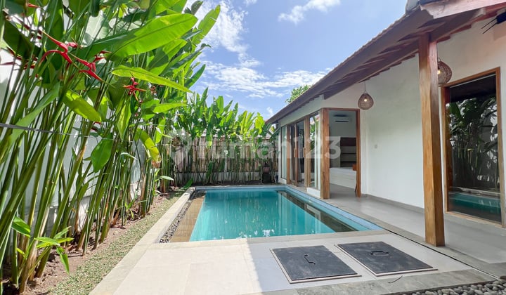 1 Bedroom Villa Seseh Modern Tropical