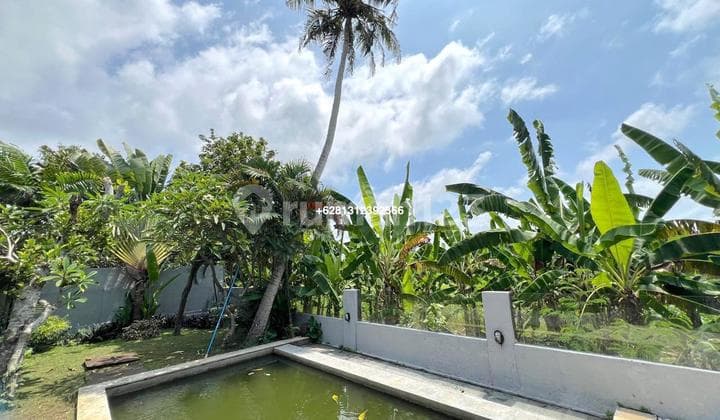 Big Garden 2 Bedrooms Pererenan Beachside Canggu Central