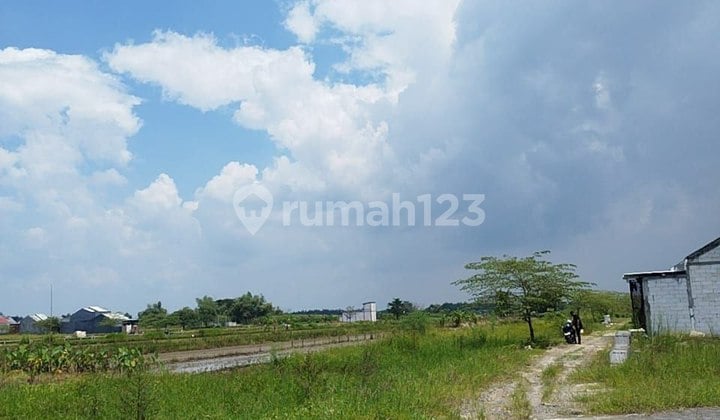 Tanah Bringkang Kedamean Gresik