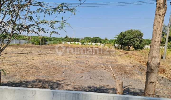 Tanah Cerme Gresik Jual Cepat Dekat Exit Tol