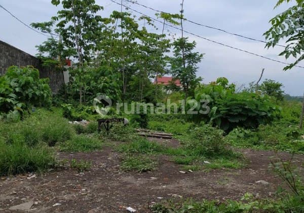 Tanah di Raya Nasional Bangil Pasuruan Murah Lokasi Strategis