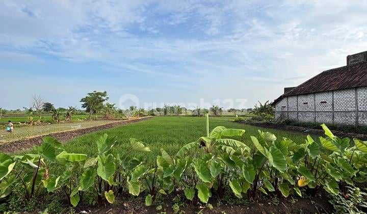 Tanah Cerme Gresik Jual Cepatakses Bebas Banjir Dekat Tol