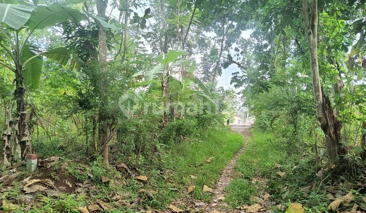 Kavling Bagus Dekat Undip Cocok Untuk Kost2an