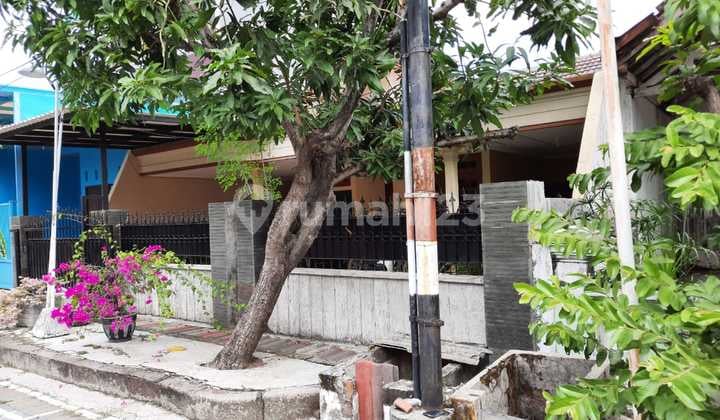 Murah Hitung Tanah Siap Huni Pondok Rosan Wiyung Dkt Citraland