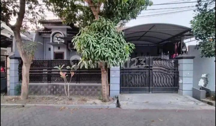 Murh Puri Lidah Kulon Indah Siap Huni Dkt Wiyung Citraland