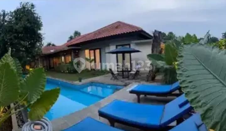 Rumah Cantik Dan Mewah Di Kemang Jakarta Selatan Siap Huni