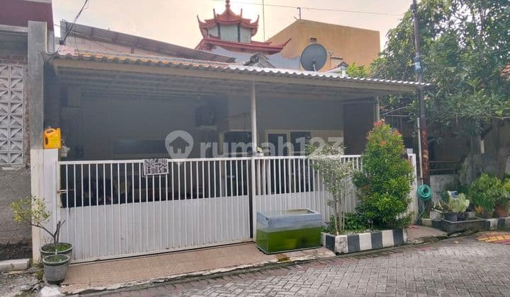 Jual Sangat Murah Rumah Minimalis Siap Huni Bagus Di Pandugo, Dekat Raya Pandugo, Raya Merr, Upn, Stikom, Rungkut Asri Surabaya