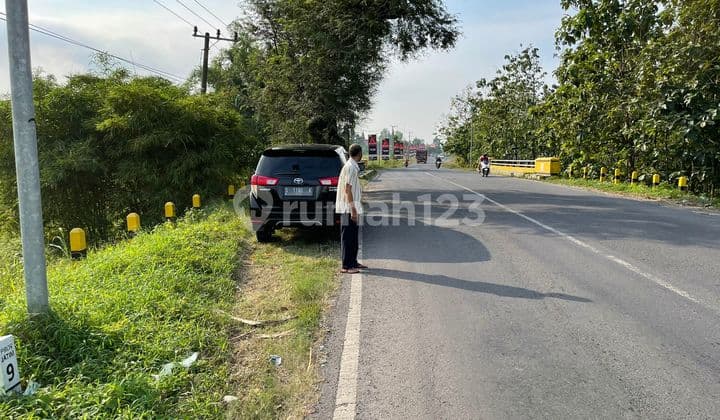 Nol Jl Propinsi , Bisa Utk Gudang Pabrik Ry Glugu Mantup Lamongan