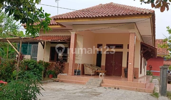 Rumah Tanah Luas di Kp Siluman Krajan Subang Nyaman dan Asri