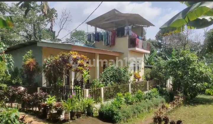 Villa dan Kebun Durian di Bogor Siap Huni Dekat Area Pariwisata