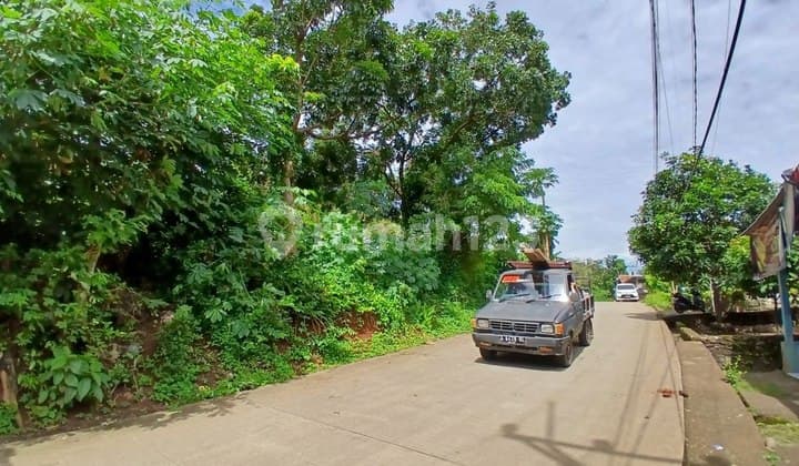 Productive Land Suitable for Hotels and Villas Near Main Road