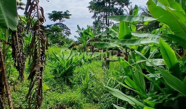 Tanah Strategis di Anyer Premium Cocok Untuk Hotel dan Villa