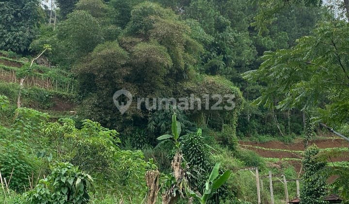 Tanah Punclut Ciumbuluit Lembang Dekat Area Wisata