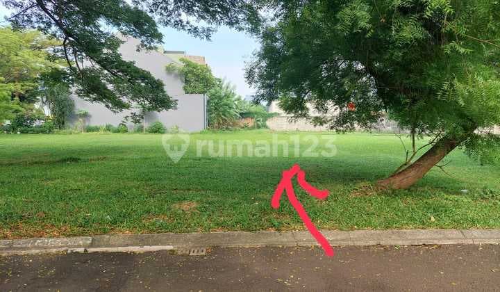 DIJUAL KAVLING LANGKA DI SUTERA LAVENDER ALAM SUTERA