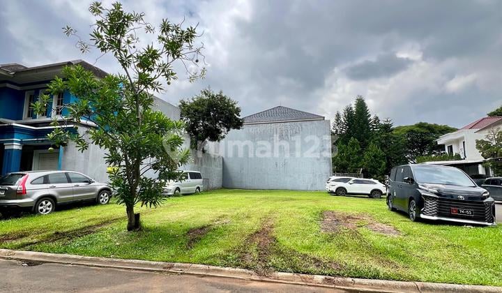 Dijual Cepat! Kavling Siap Bangun! Sutera Amaryllis - Alam Sutera