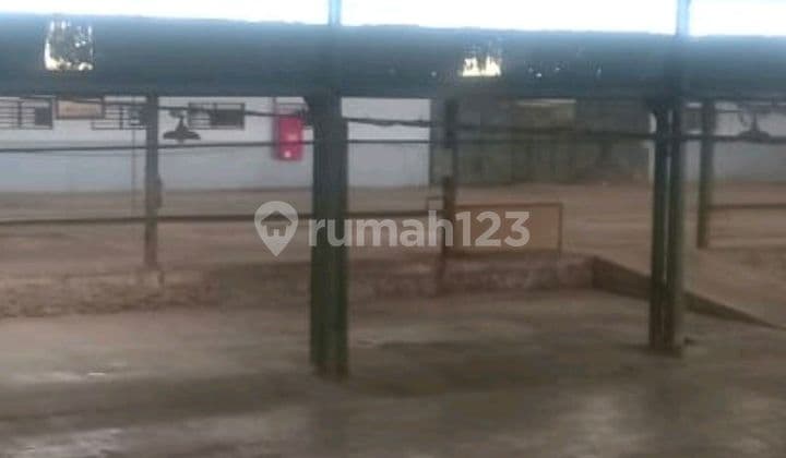 Gudang Murah,Aman,Nyaman