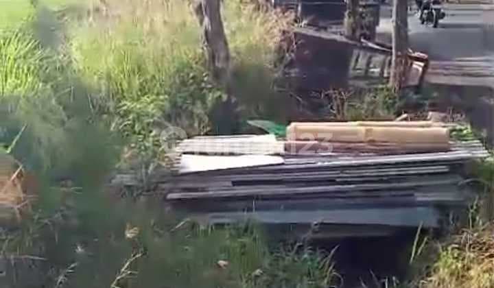 Tanah Jual Lokasi Munggu