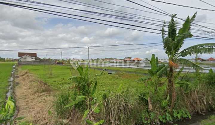 Tanah Jual Lokasi Cemagi