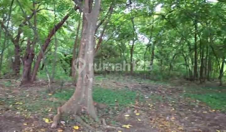 Tanah Jual Lokasi Tulamben