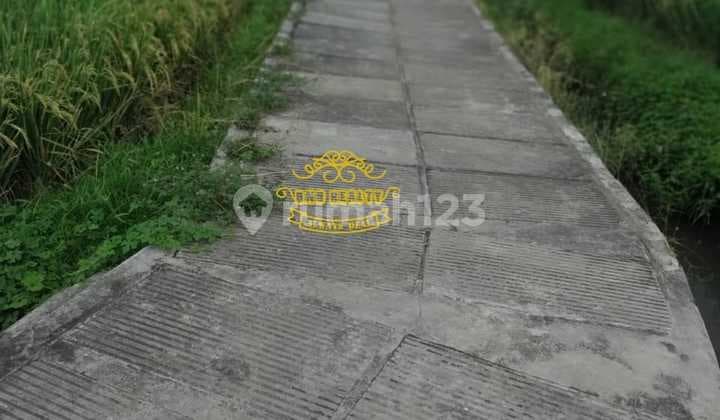 Tanah Jual Lokasi Munggu