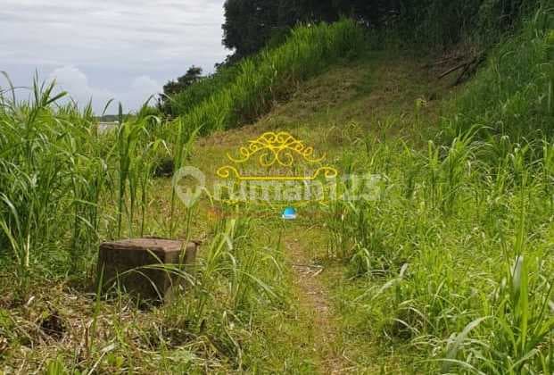 Tanah Jual Lokasi Dawan