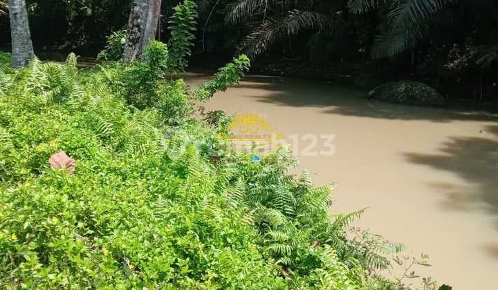 Tanah Jual Lokasi Kelating