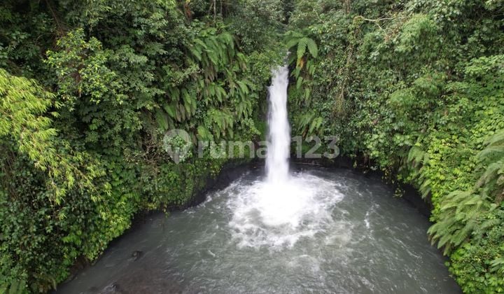 Land for Sale in Lemukih Location