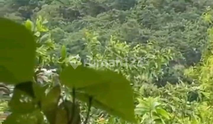 Tanah Jual Lokasi Nusa Dua