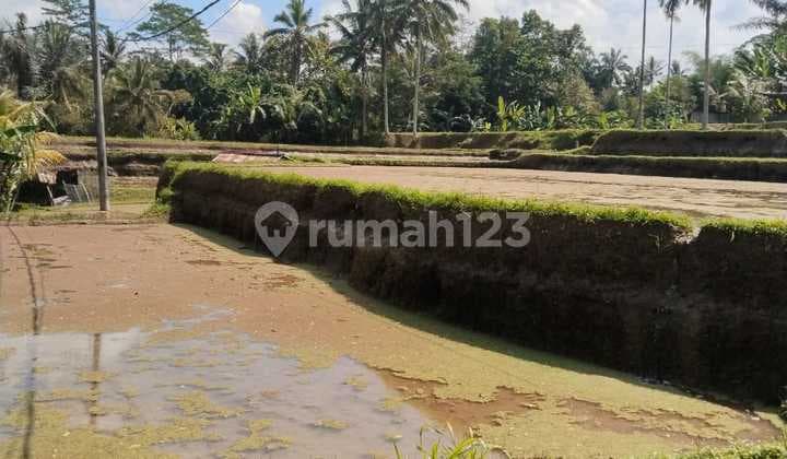 Land for Sale in Kenderan Location