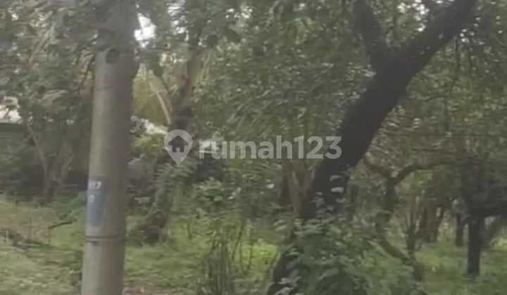 Tanah Jual Lokasi Tulamben