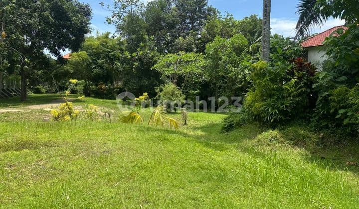 Tanah Jual Lokasi Kerobokan