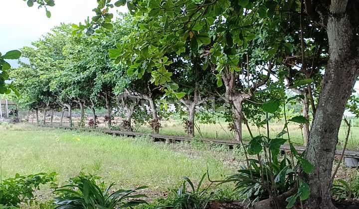 Tanah Jual Lokasi Padang Galak