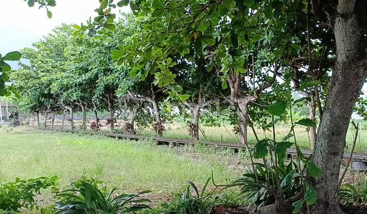 Tanah Jual Lokasi Padang Galak