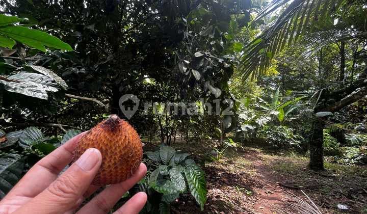 Tanah Jual Lokasi Sanda