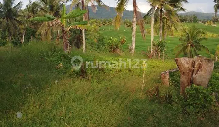 Tanah Jual Lokasi Selemadeg