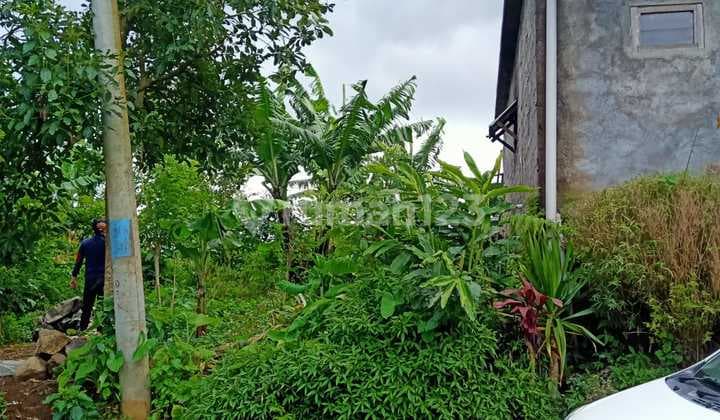 Tanah Jual Lokasi Wanagiri