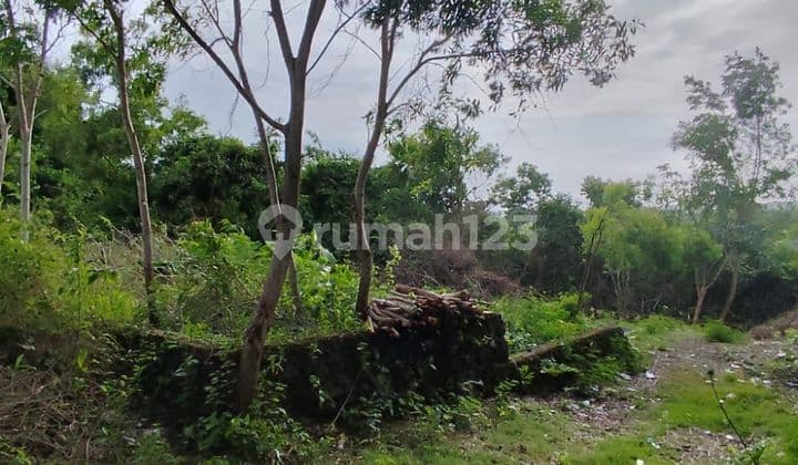 Tanah Jual Lokasi Ungasan