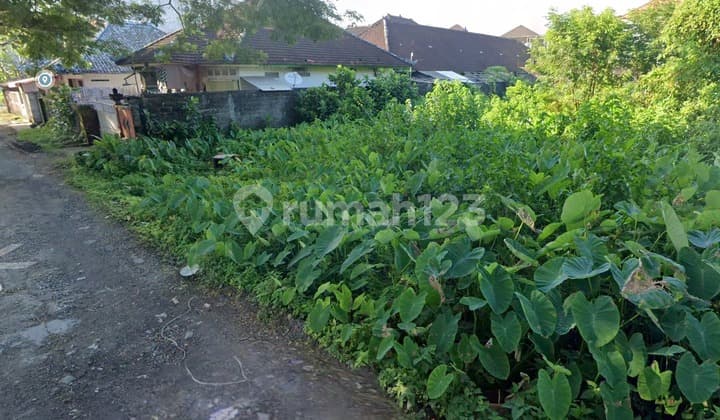 Tanah Jual Lokasi Kerobokan