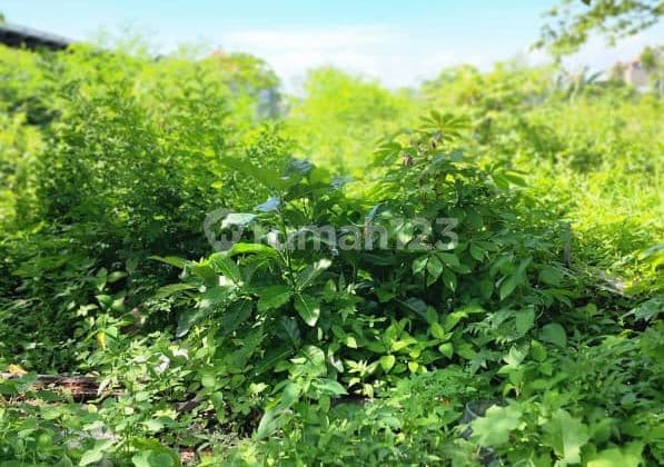 Tanah Jual Lokasi Pura Demak