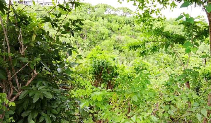 Tanah Jual Lokasi Nusa Dua