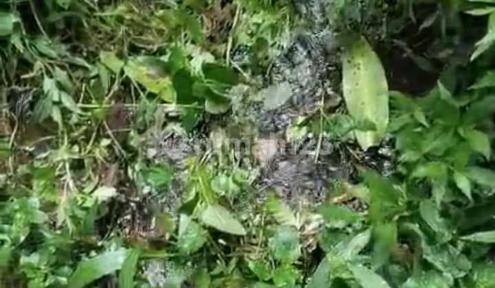 Tanah Jual Lokasi Munduk