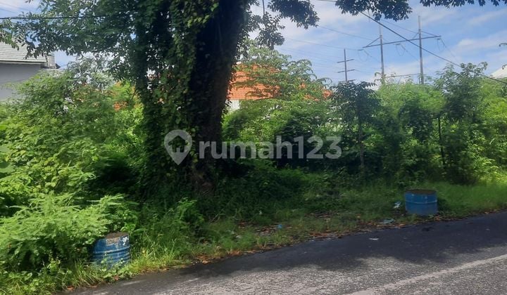 Land for Sale in Kerobokan Location