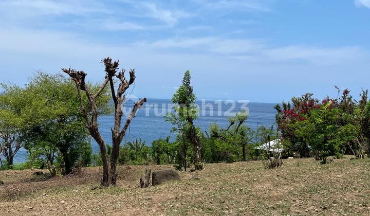 Tanah Jual Lokasi Seraya