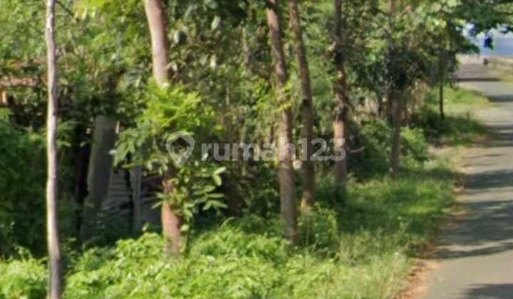 Land for Sale, Location Klungkung